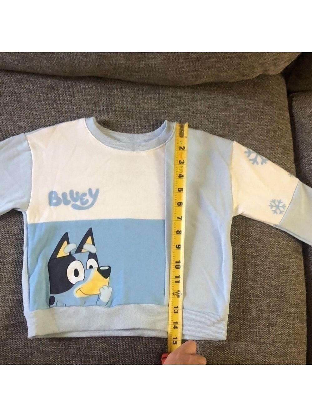 BLUEY Moose Toddler Boy Bluey Sweatshirt Pullover Sweatpants Set Blue Cream 3T - Picture 16 of 17